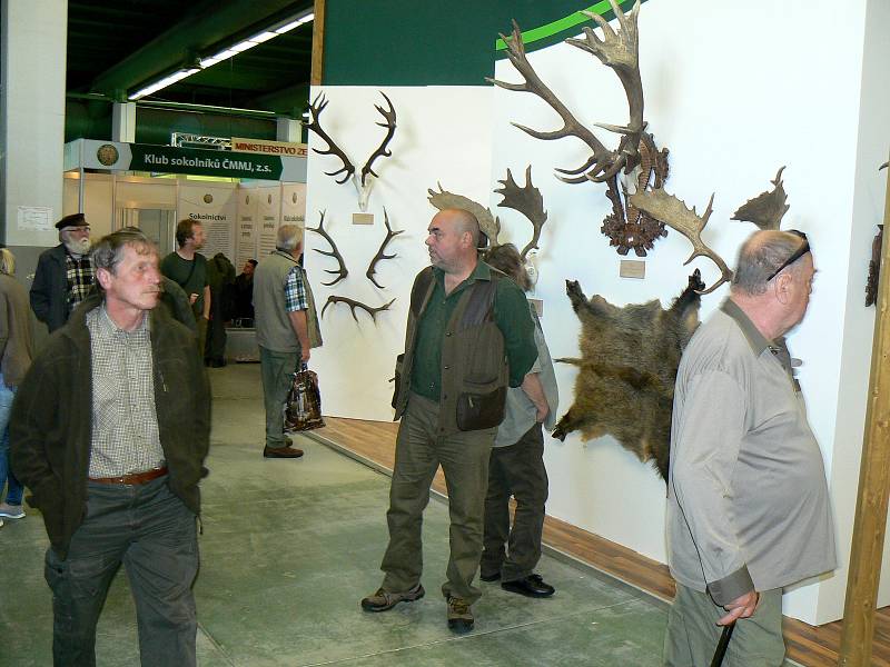 Jedna z každoročně nejnavštěvovanějších výstav v Lysé nad Labem Natura Viva byla slavnostně zahájena.