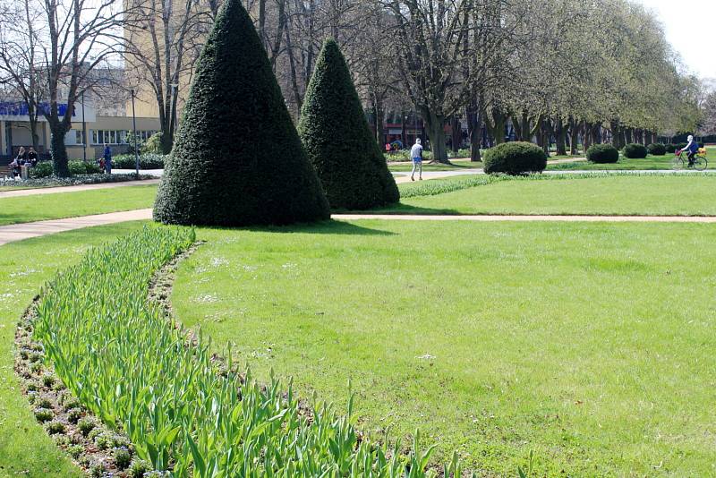 Lázeňský park na jaře. Brzy už po něm budou kroužit robotické sekačky.