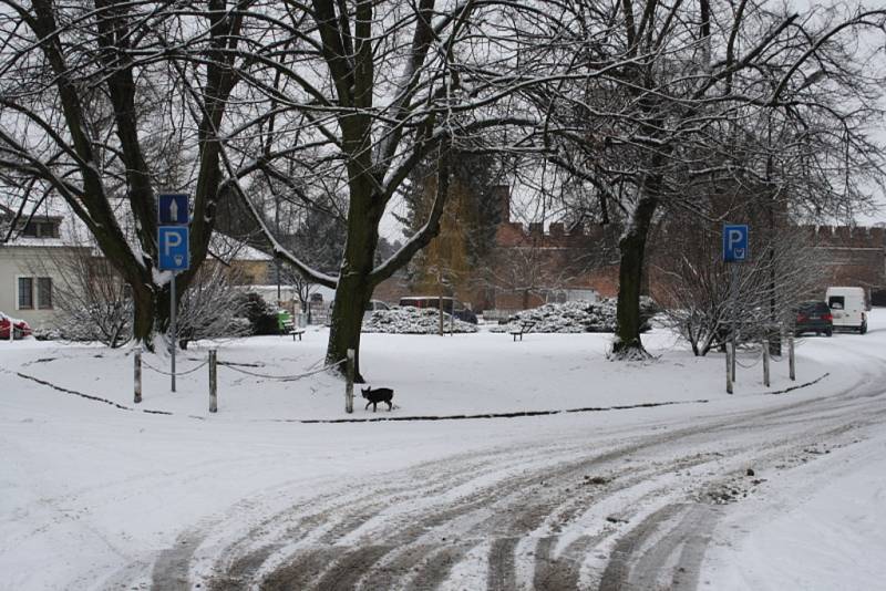 Do Nymburka se vrátila zima.