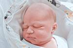 Filip Bednařík se narodil v nymburské porodnici 29. září 2022 v 2:36 hodin s váhou 4200 g a mírou 53 cm. Do Veltrub chlapeček odjel s maminkou Kristýnou, tatínkem Tomášem a sestřičkou Julií (5 let).