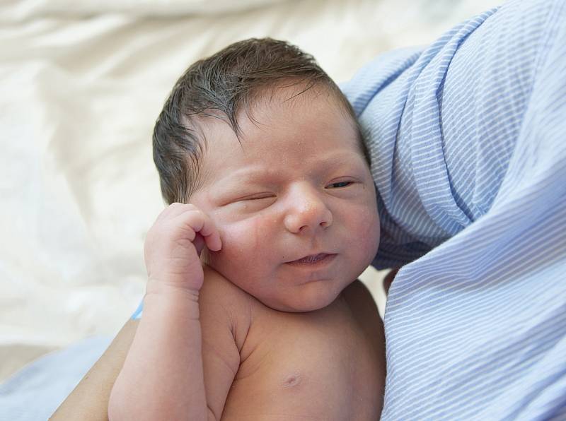 Viktor Kříž ze Semic se narodil v nymburské porodnici 10. srpna 2021 v 11.23 hodin s váhou 3220 g a mírou 48 cm. Z prvorozeného chlapečka se raduje maminka Barbora a tatínek Václav.