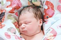 Anežka Horčicová se narodila v nymburské porodnici 6. července 2022 v 10:48 hodin s váhou 4230 g a mírou 52 cm. Ve Vápensku bude holčička bydlet s maminkou Anetou, tatínkem Martinem, sestřičkou Elou (3 roky) a bráškou Šimonem (5 let).