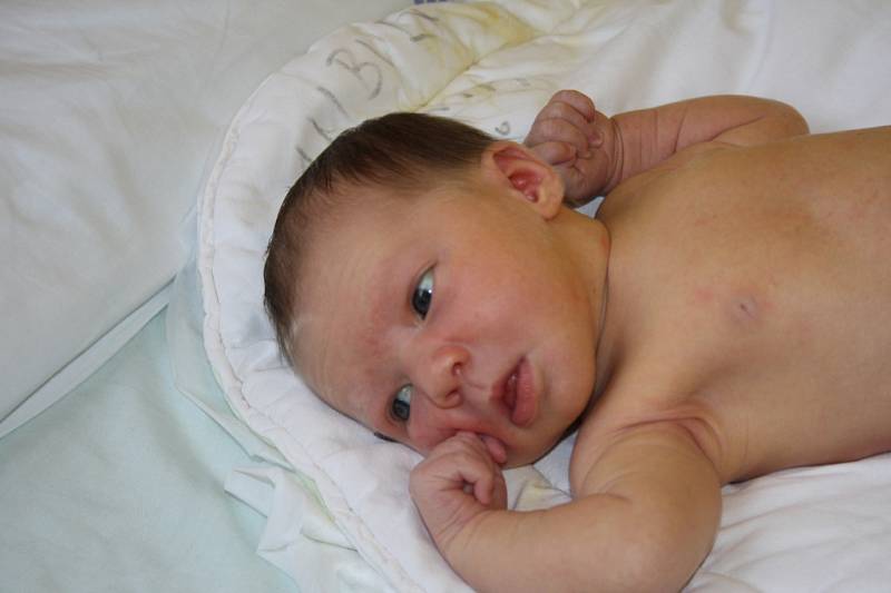 MALÁ SLEČNA TEREZKA.  Tereza KARBUSICKÁ se narodila 21. ledna 2016 ve 14.50 hodin. Holčička s mírami 3 660 g a 50 cm je zatím prvním miminkem Michaely a Luboše z Plaňan. 