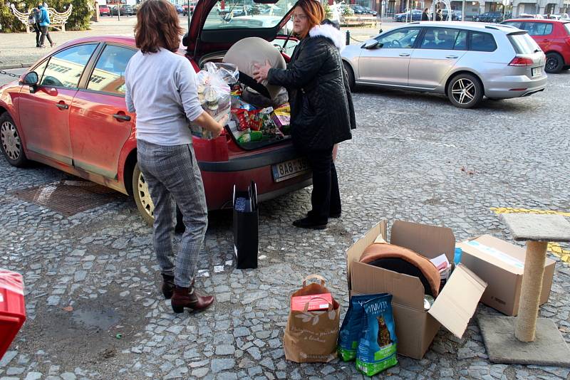 Loňská sbírka na nymburské radnici a převzetí darovaných věcí zástupkyní depozita Catky.