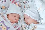 Kira a Miya Raiu se narodily v nymburské porodnici 16. dubna 2022. Kira se narodila v 22:41 hodin s váhou 2550 g a mírou 49 cm. Miya se narodila ve 22:45 hodin s váhou 2660 g a mírou 50 cm. S maminkou Hannou, tatínkem Vasylem a bráškou Nazariem (13 let) b