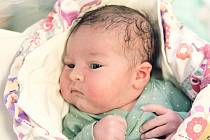 Natálie Švandová se narodila v nymburské porodnici 13. prosince 2021 ve 20:38 hodin s váhou 4100 g a mírou 50 cm. Prvorozená holčička se narodila do rodiny maminky Lucie a tatínka Ondřeje a bude bydlet v Českém Brodě.