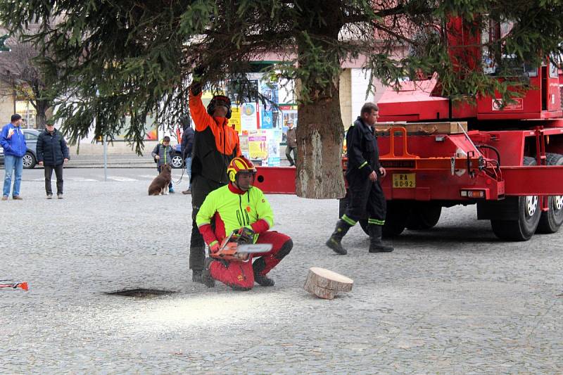 Na Nymburské náměstí dorazil v pondělí dopoledne Vánoční strom.