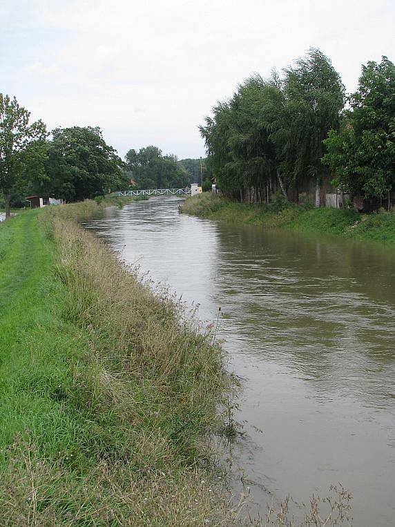 Divoká Mrlina v neděli odpoledne