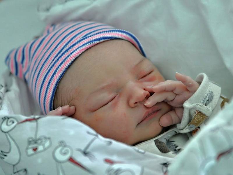 Tereza Molitorisová se narodila v nymburské porodnici v pátek 20. srpna 2021 v 16.41 hodin. Holčička vážila rovná 4 kila a měřila 48 cm. Radují se z ní rodiče Šárka a Andreas.