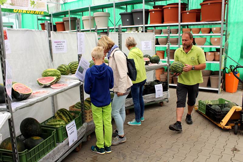 Melouny v zahradnictví u Libice mohli příchozí také ochutnat.