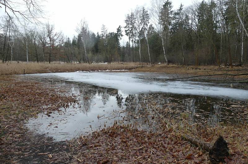 Turisté prošli různě dlouhé trasy Polabím v sobotu 30. ledna. Foto: Václav Míka