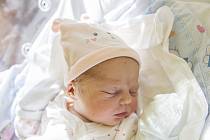 Lilien Magyarová z Českého Brodu se narodila v nymburské porodnici 8. září 2021 v 16.29 hodin s váhou 3440 g a mírou 48 cm. Z prvorozené holčičky se raduje maminka Veronika a tatínek Jiří.