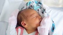 Anna Krejzová se narodila v nymburské porodnici 1. listopadu 2021 v 9:27 hodin s váhou 3510 g a mírou 49 cm. Holčičku si domů do Brandýsa nad Labem odvezli rodiče Lenka a Martin a sestřička Lenka (11 let).