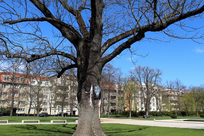 Lázeňský park na jaře. Brzy už po něm budou kroužit robotické sekačky.