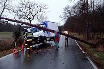 Strom se zřítil na dodávku přesně ve chvíli, kdy projížděla kolem. Řidič unikl smrti jen o vlásek.