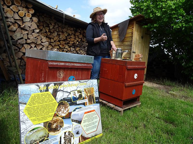 V Poděbradech otevřeli včelaři úly.
