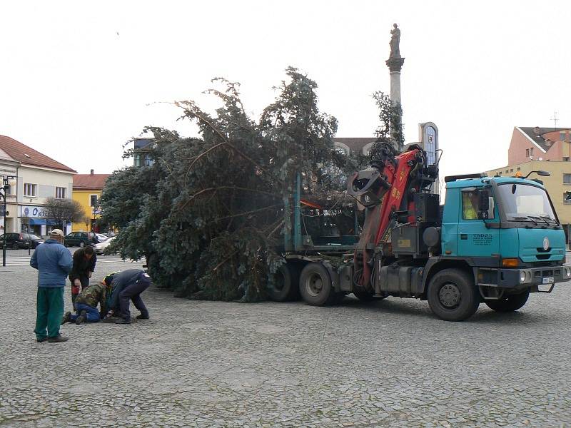 Vánoční strom už je v Nymburce