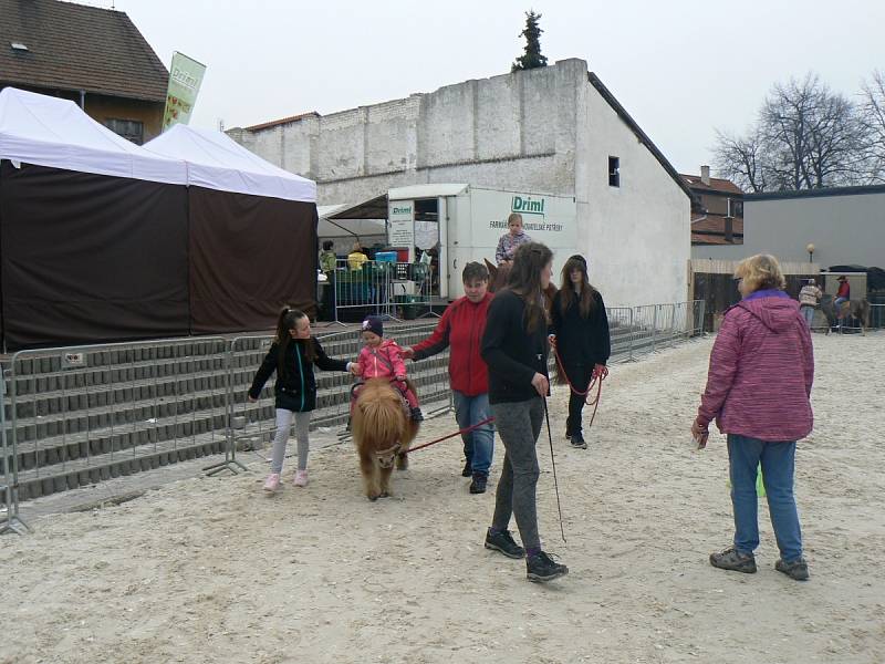 Výstaviště v Lysé hostilo výstavy Zemědělec, Jaro s koňmi a Festival dechovky.