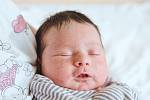 Marek Ali Mammadov z Milovic se narodil v nymburské porodnici 23. května 2022 v 14:26 hodin s váhou 3240 g a mírou 48 cm. Z prvorozeného chlapečka se raduje maminka Katarina a tatínek Elman.