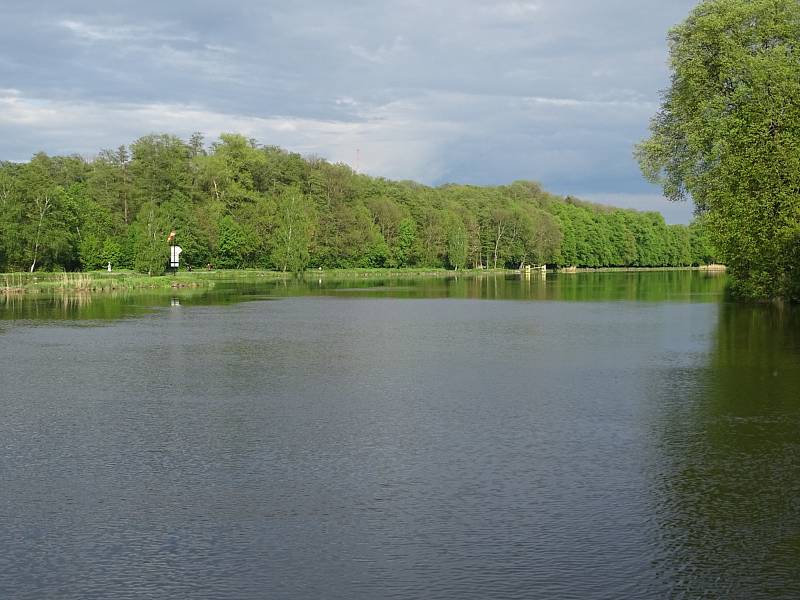 Hladina Labe v Poděbradech po deštích mírně stoupla.