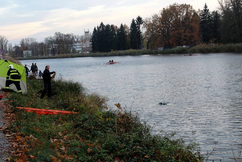 U nálezu mrtvého těla v Labi zasahovali kriminalisté, hasiči a potapěči i v listopadu roku 2018. V řece u Vesláku našli kolemjdoucí mrtvou ženu.