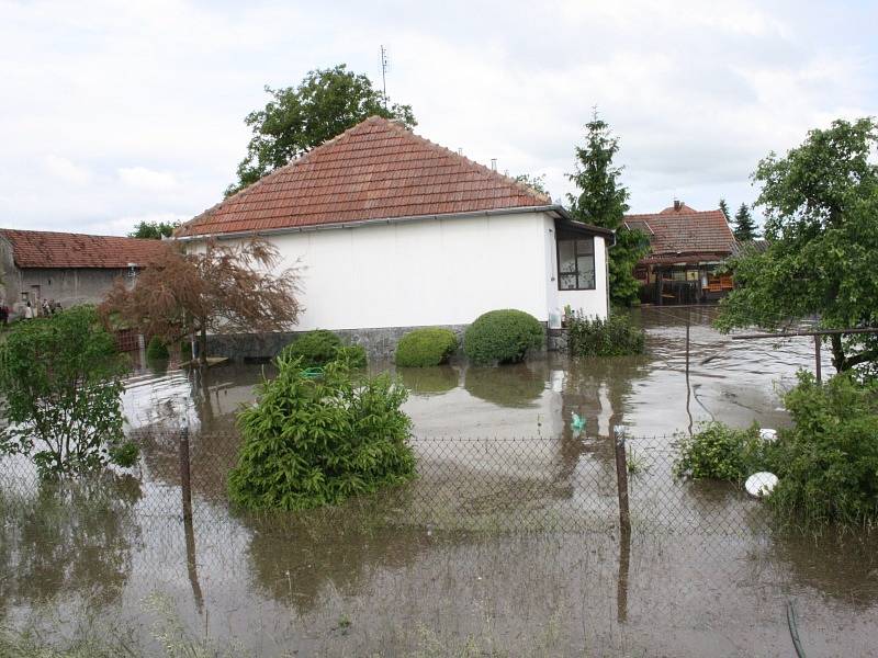 Netřebice, úterý 4. června