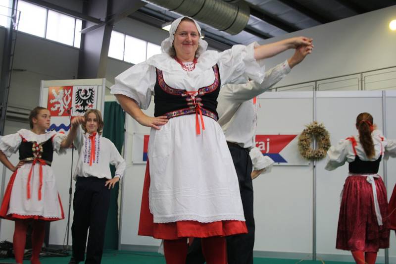 Dožínky a Gastrofestival v Lysé nad Labem