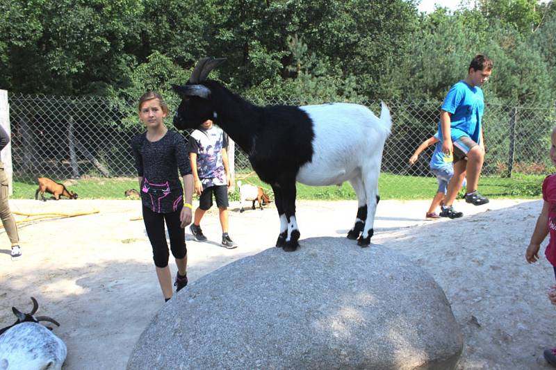 Zábavní a rodinný park v Milovicích na Nymbursku.