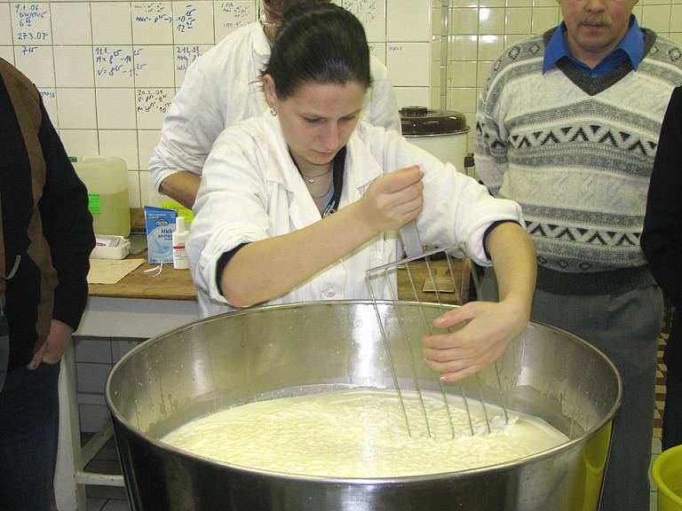 Na zemědělce studenti vyráběli sýr Goudu