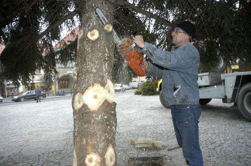 Vánoční strom v Nymburce