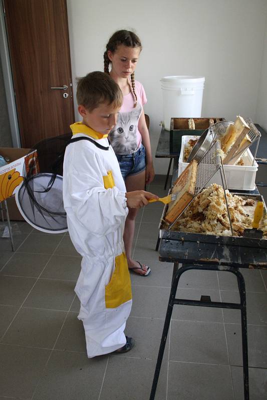 Děti se na příměstském táboře v Poděbradech učí včelařit.