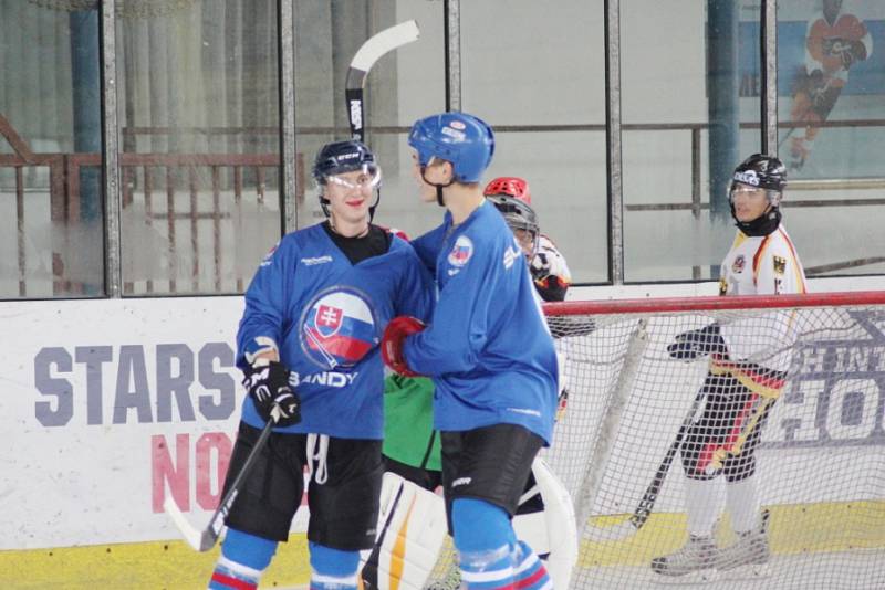 Na nymburském zimním stadionu se uskutečnil třetí ročník turnaje v bandy hokeji.