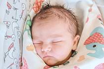 Beata Dvořáková se narodila v nymburské porodnici 19. října 2022 v 23:22 hodin s váhou 3960 g a mírou 51 cm. Z prvorozené holčičky se v Lysé nad Labem raduji maminka Petra a tatínek Michal.