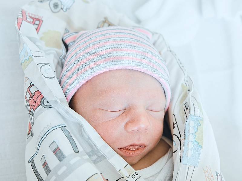 Benjamin Bašus se narodil v nymburské porodnici 31. května 2022 v 0:53 hodin s váhou 2680 g a mírou 45 cm. V Nymburce prvorozeného chlapečka očekávali rodiče Michaela a Ondřej.