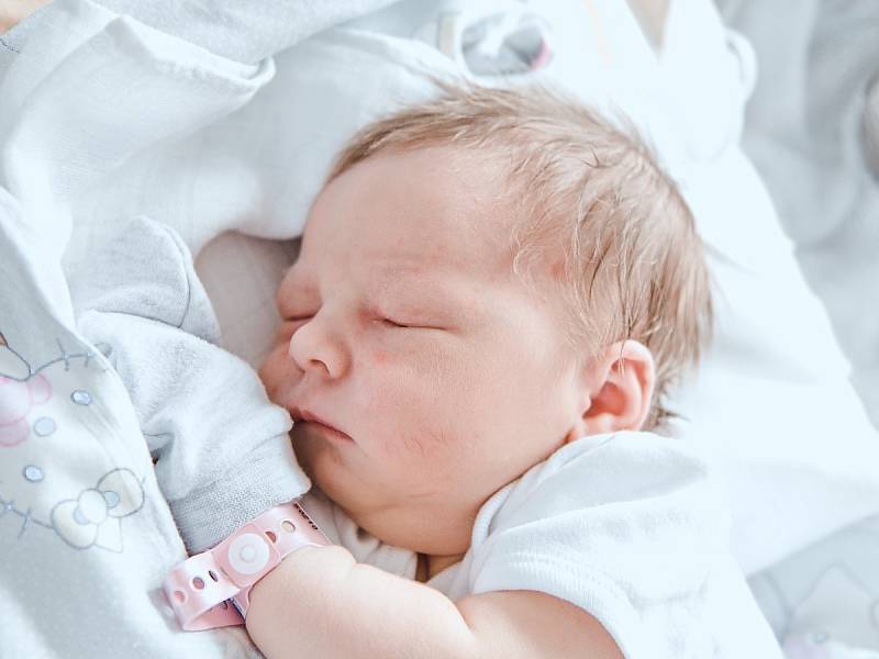 Lada Příkopová se narodila v nymburské porodnici 5. července 2022 v 11:55 hodin s váhou 3460 g a mírou 48 cm. Ve Vestci si z holčičky radovala maminka Aneta, tatínek Patrik a sestřička Ema (3 roky).
