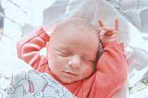 Tadeáš Ryba z Jabkenic se narodil v nymburské porodnici 17. dubna 2022 v 1:50 hodin s váhou 3560 g a mírou 50 cm. Domu si chlapečka odvezla maminka Alice, tatínek Jan a bráška Pavel (7,5 let).
