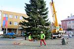 Nymburské náměstí zdobí Vánoční strom, který byl uříznut v Kovanicích. 