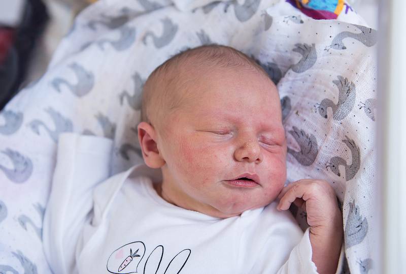 Zuzana Navrátilová ze Semic se narodila v nymburské porodnici 16. ledna 2021 v 6:48 hodin s váhou 3860 g a mírou 51 cm. Na holčičku se těšila maminka Tereza, tatínek Patrik a bráška Eliáš (20 měsíců).