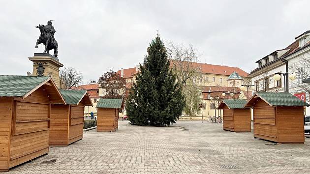 Vánoční strom už mají i v Poděbradech.
