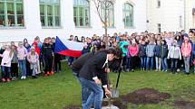 U Gymnázia Bohumila Hrabala roste od pondělí 22. října Lípa republiky.