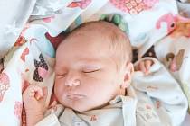 Natálie Nedvědová se narodila v nymburské porodnici 7. listopadu 2022 v 15:53 hodin s váhou 3680 g a mírou 51 cm. Maminka Eliška a tatínek Jakub se z prvorozené holčičky raduji v Praze 8.