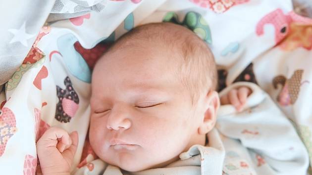 Natálie Nedvědová se narodila v nymburské porodnici 7. listopadu 2022 v 15:53 hodin s váhou 3680 g a mírou 51 cm. Maminka Eliška a tatínek Jakub se z prvorozené holčičky raduji v Praze 8.