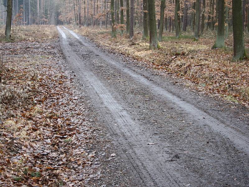 Jaroslav Zvířecí a rozbahněná cesta