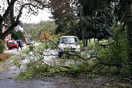 V Poděbradech v Labské blokoval provoz spadlý strom