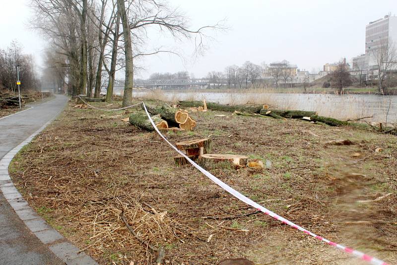 Situace u cyklostezky u Labe za železničním mostem po třech dnech kácení topolů.