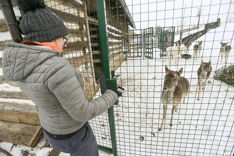 Zoo v Chlebech na Nymbursku ve středu 17. února 2021.