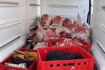 V přepravní části se nacházela tuna masa, od kterého řidič ani závozník neměli žádné dokumenty.