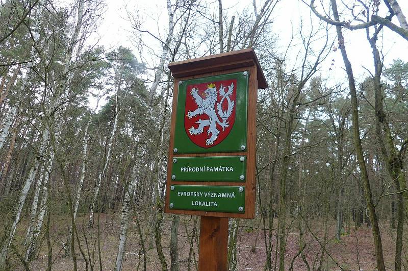 Turisté prošli různě dlouhé trasy Polabím v sobotu 30. ledna. Foto: Václav Míka