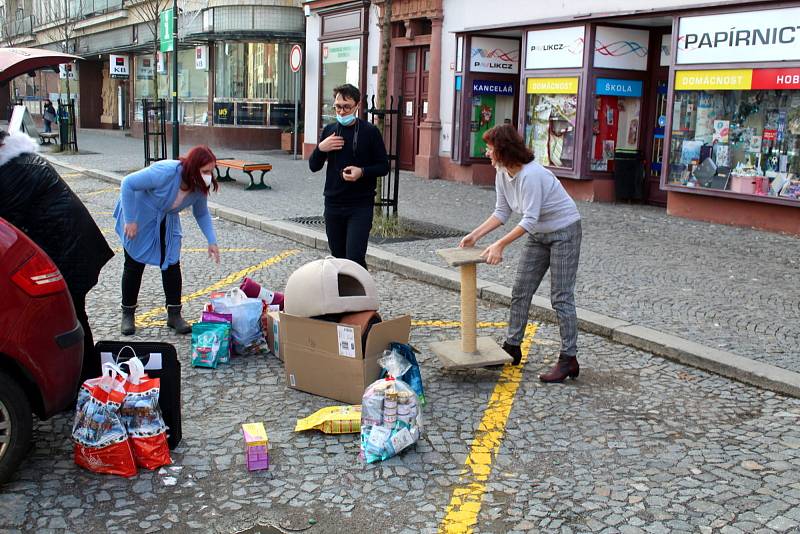 Loňská sbírka na nymburské radnici a převzetí darovaných věcí zástupkyní depozita Catky.