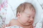 Adina Říčanová se narodila v nymburské porodnici 17. března 2022 v 8:20 hodin s váhou 3400 g a mírou 49 cm. Holčičku v Kounicích očekávala maminka Markéta, tatínek Michal a bráška Albert (3 roky).